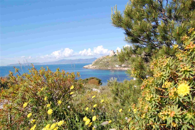 Santa Teresa di Gallura, la "variante cementizia" svela il bluff: il Piano Urbanistico non è in vigore