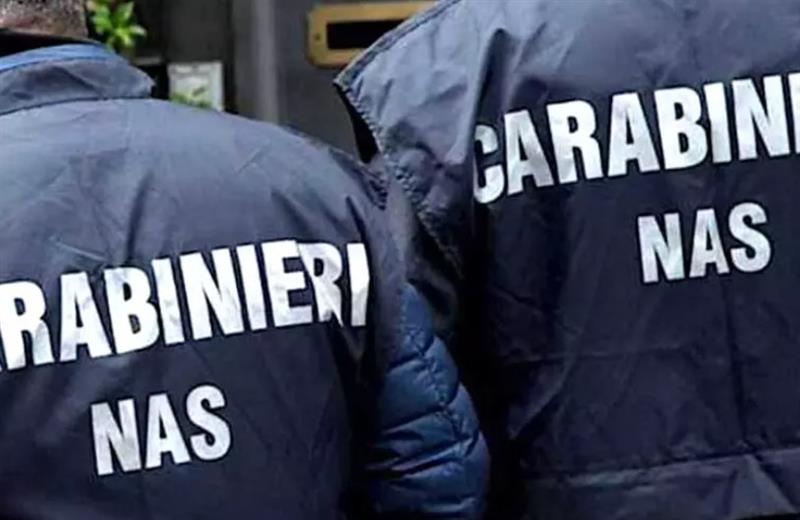 Blatte tra i fornelli e nei bagni: chiuso un ristorante a Cagliari. Uno schifo indegno