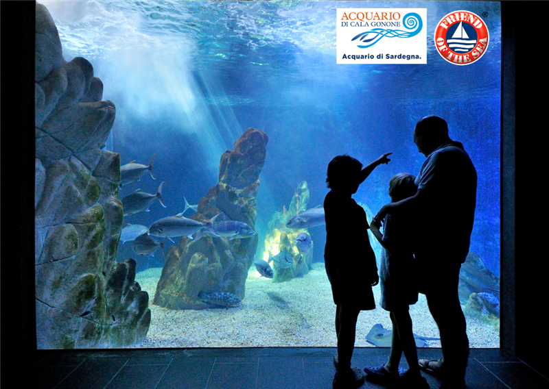 Cala Gonone, l’Acquario di Sardegna è ora certificato Acquario sostenibile da Friend of the Sea®