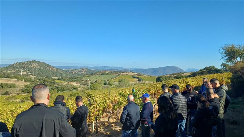 Tra Nurri e Mamoiada, il vino mette in rete i giovani viticoltori