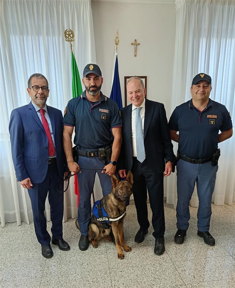Oristano, il nuovo cane antidroga Severus Piton entra in servizio: "Un valore aggiunto per il territorio"