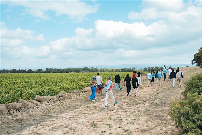 Ad Alghero il vino si degusta tra i Nuraghi e siti archeologici e le cantine si esplorano con il Wine Bus: arrivano gli eventi speciali della Alguer Wine Week