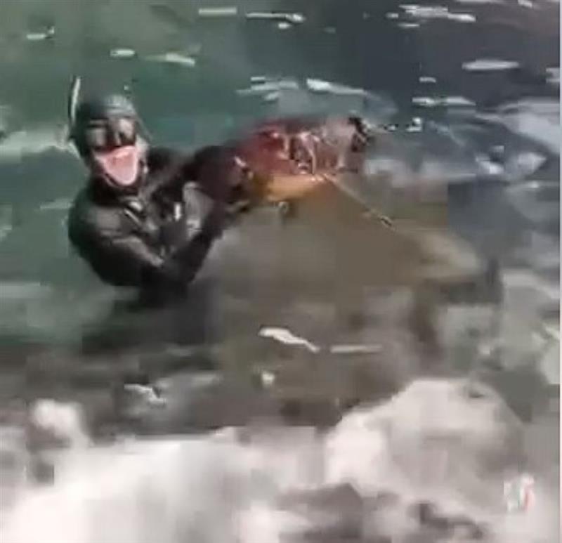 -