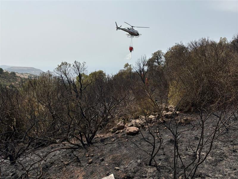 Bosa, tre incendi nella notte. Comune: «Gesti vili»