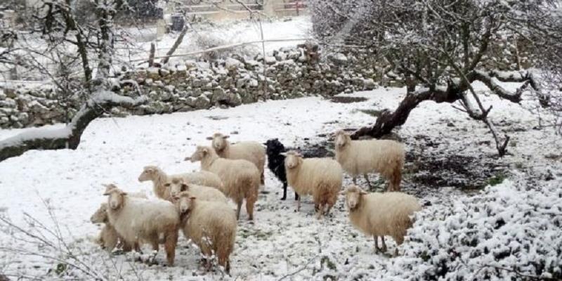 Lunedì aria di neve: allerta dalla Protezione Civile regionale