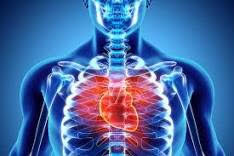 Malattie cardiovascolari. Quali i fattori di rischio e come prevenirli