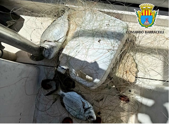Alghero: Sequestrato palamito all’interno dell’Area Marina Protetta Capo  Caccia – Isola Piana