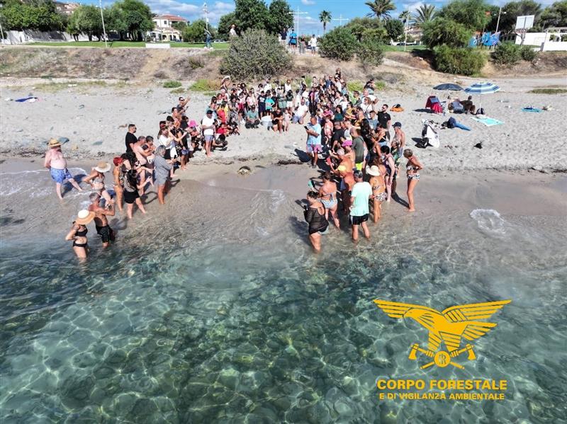 Tortolì, liberata a Porto Frailis una tartaruga Caretta caretta salvata da una rete fantasma