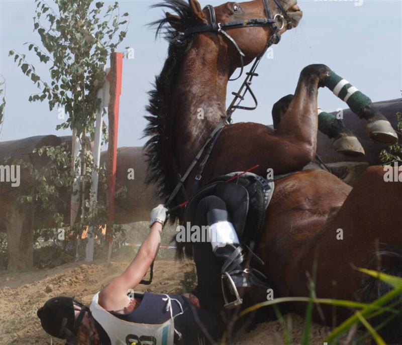 Un cavallo, un ragazzo, e il destino: Nove giorni di coma, una vita da riconquistare