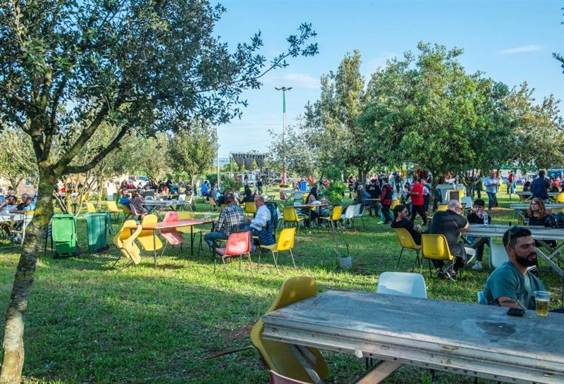 La fragola della Nurra torna protagonista a Sa Segada tra banchi d