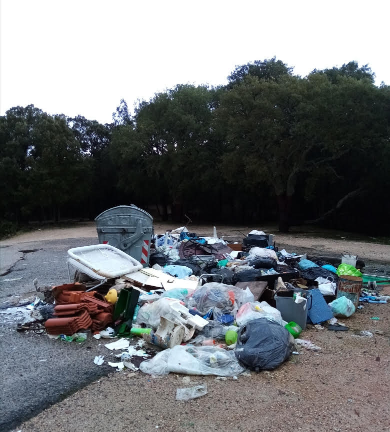 Transizione ecologica: la foresta diventa una discarica - Denuncia di Grig