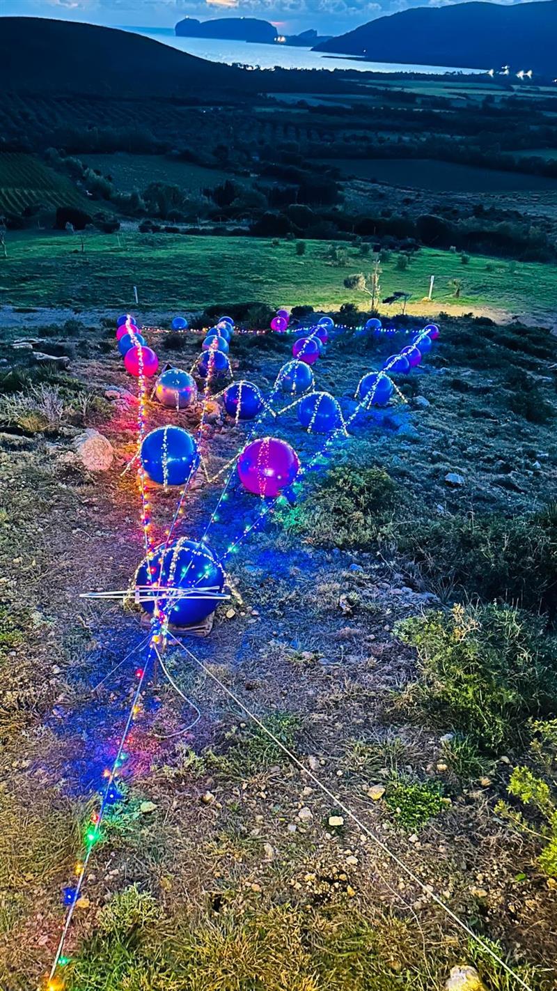 Guardia Grande accende il Natale: in arrivo un albero di 25 metri sul Belvedere La Collina