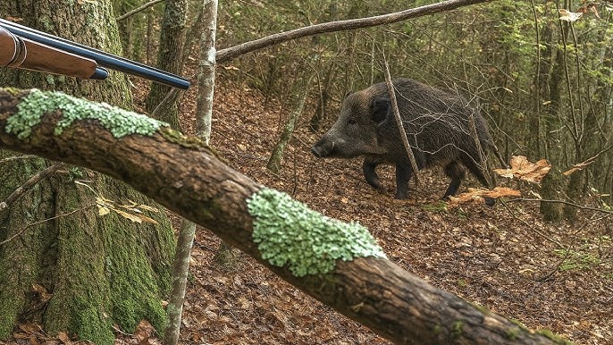 Giù le mani dalle doppiette. I cacciatori al contrattacco: «Basta fandonie, noi siamo la cura, non il male»
